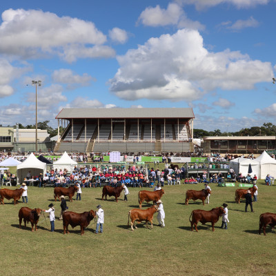 Beef Australia 2024 srcset=